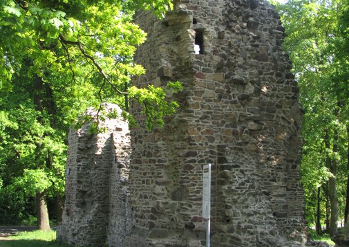 STO_Foerderung_2008_Wüstes_Schloss_2 (MFI).jpg