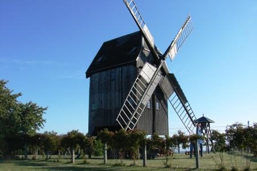 STO_Foerderung_2011_Notsicherung_Bockwindmühle_Liebschützberg_6 (Gemeinde Liebschützberg).jpg